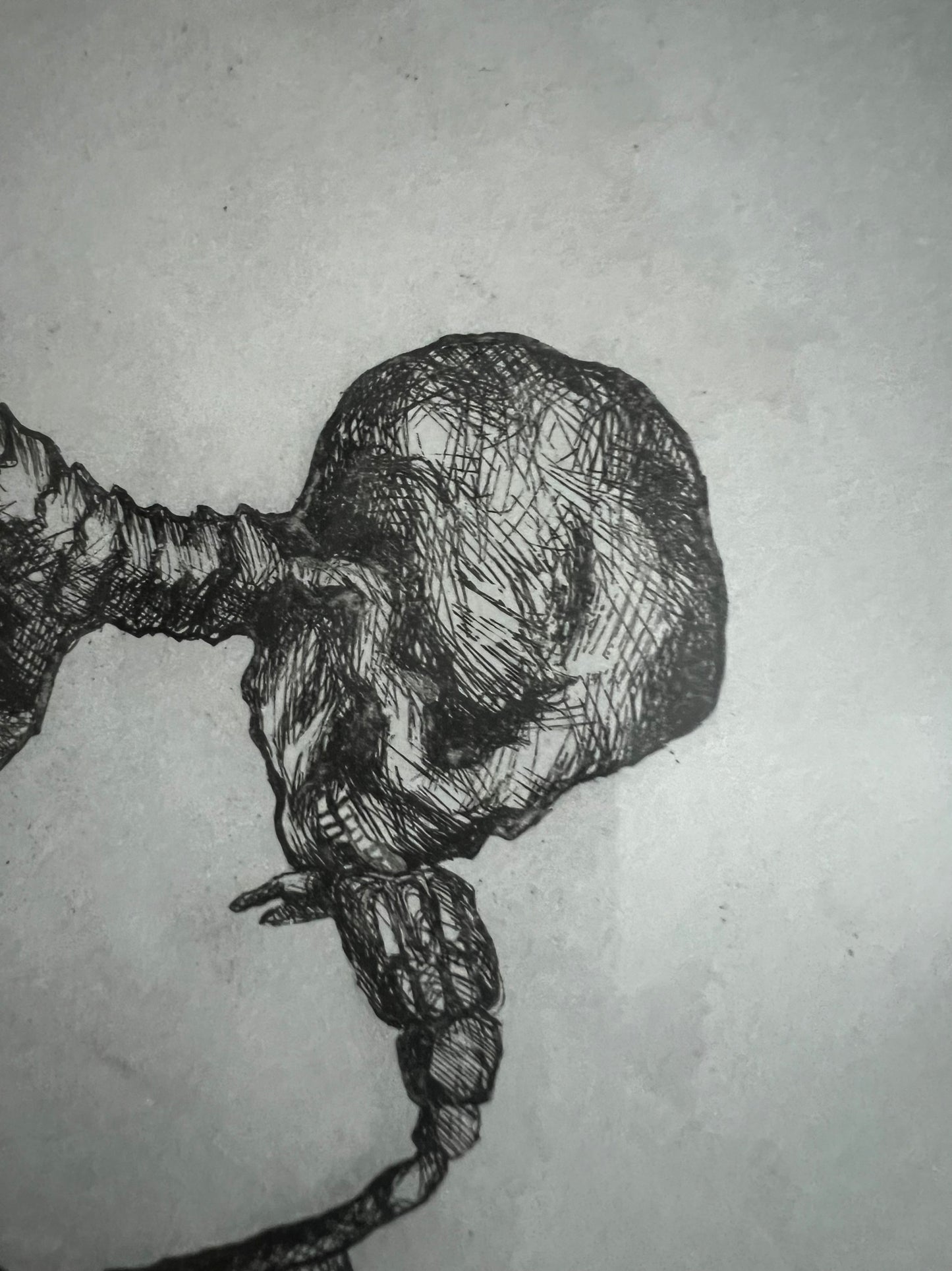 Skeleton etching (circa 2013), Phoebe Dickinson, British, etching on paper